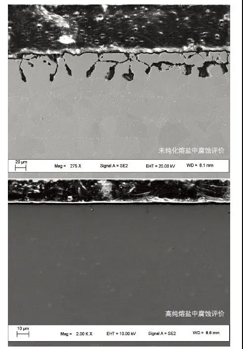 1640252779984493.jpg 00.jpg