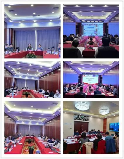 1647563229868831.jpg 00.jpg