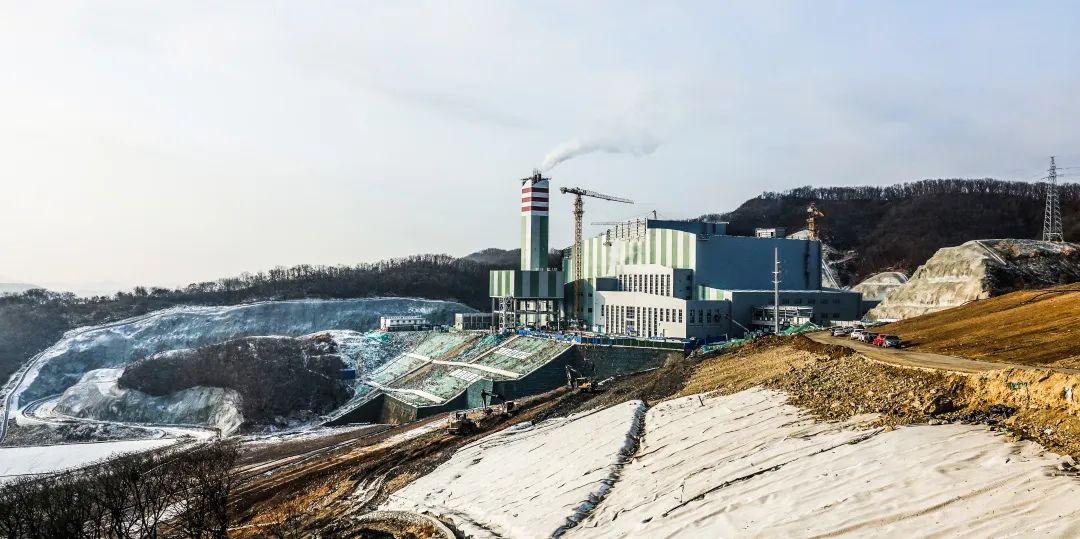 1657588356340591.jpg 00.jpg