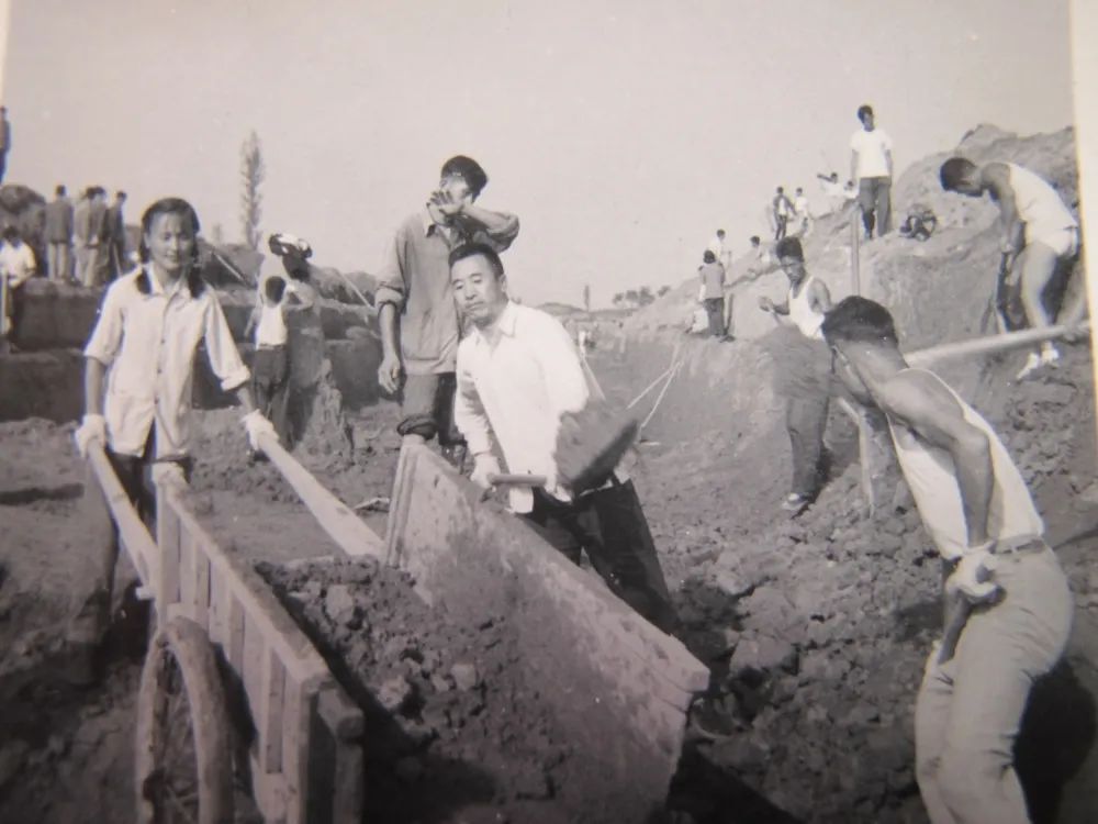 1665366081953535.jpg 00.jpg