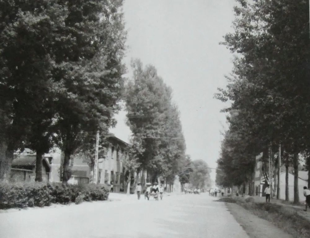 1665366109160263.jpg 00.jpg