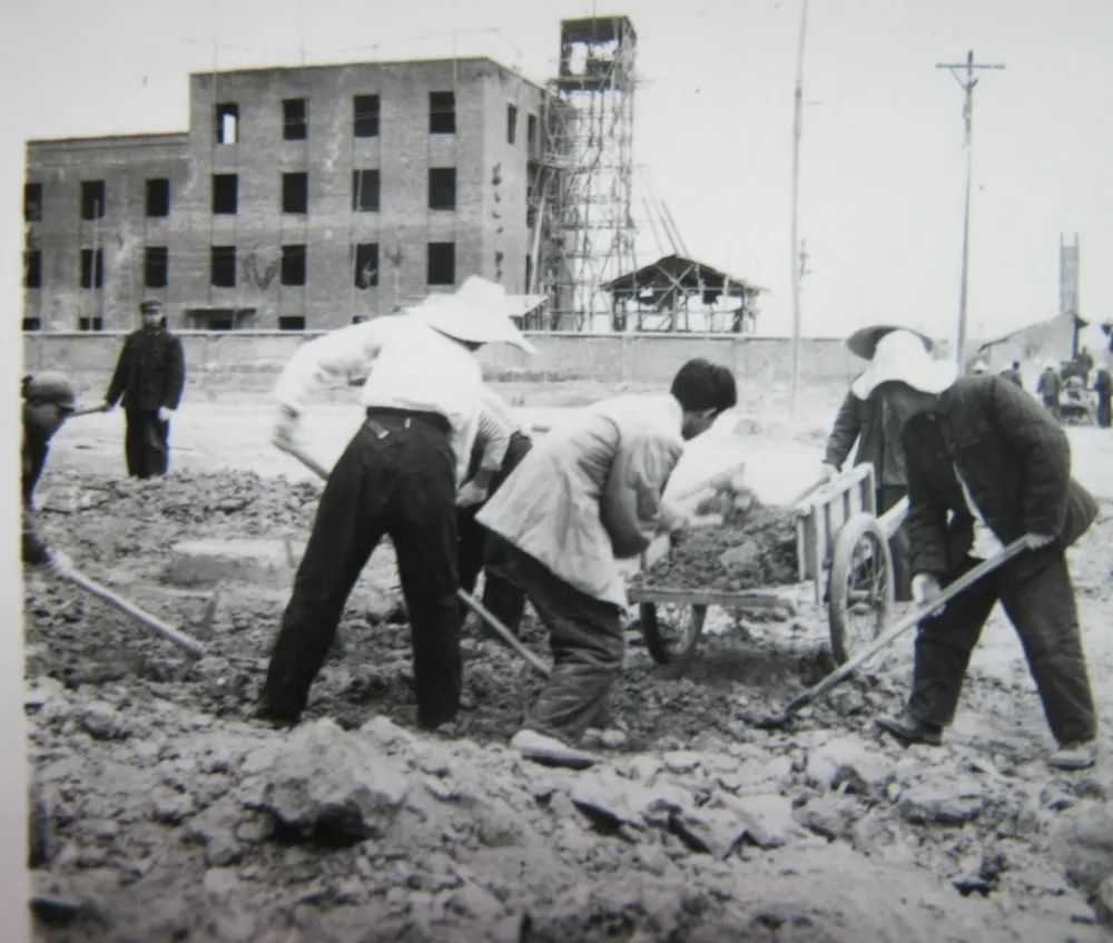 1665553324546962.jpg 00.jpg